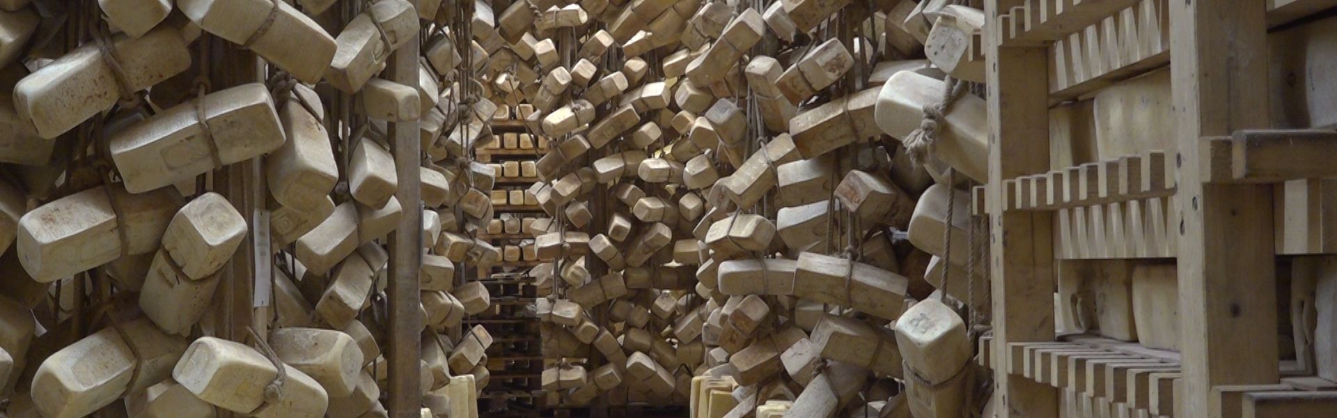 Biotrak: sistema innovativo per le filiere zootecniche con il riutilizzo della sansa d’oliva