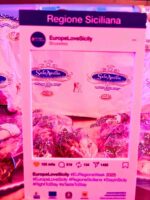 Sala Ausilia - A taste To Stay